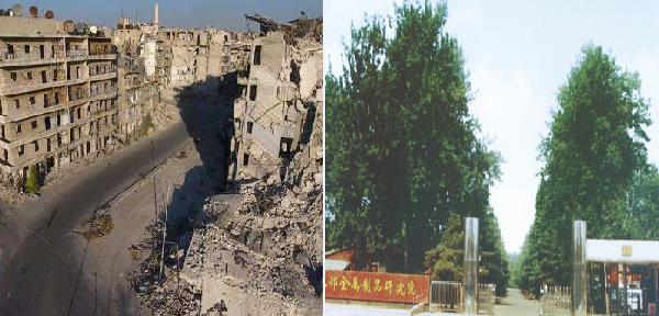 红星机器成立之初 红星机器成立之初